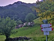76 Piani Bracca (1100 m)